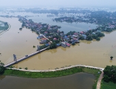  Xuất hiện 